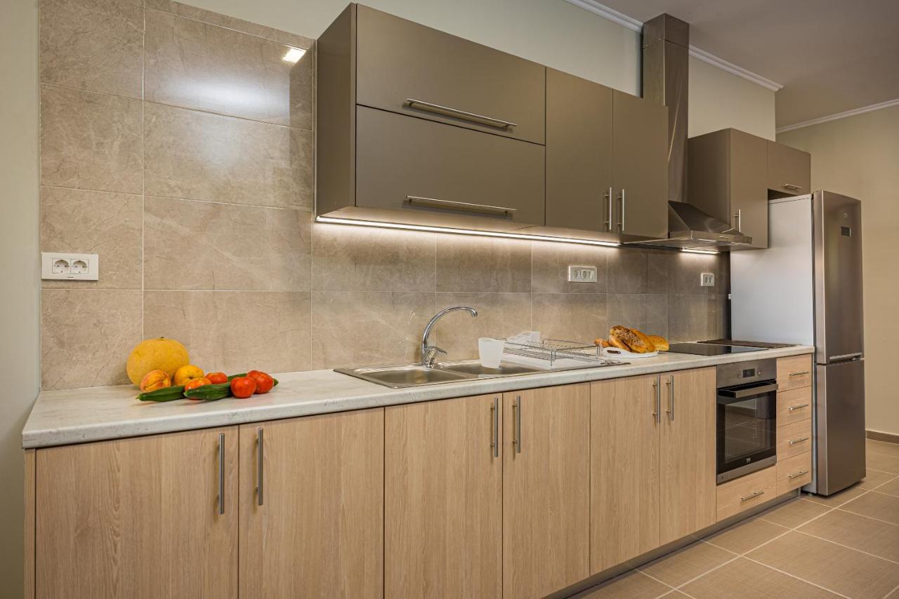 Metsovo Big Apts Laganas Exterior photo